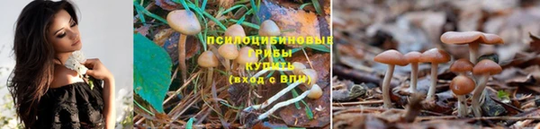таблы Инсар