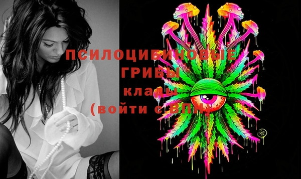 ешки Алексин